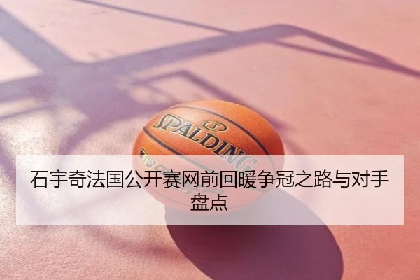 石宇奇法国公开赛网前回暖争冠之路与对手盘点